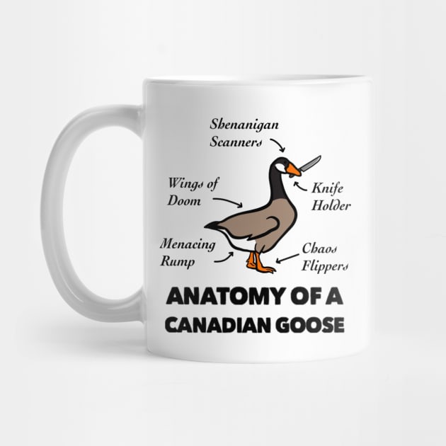 Anatomy of a Canadian Goose by TheUnknown93